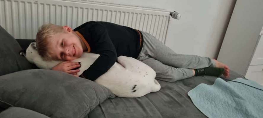 Windhunde - Treffen der besonderen Schönheiten
HERZLICH WILLKOMMEN-Beitrag-Bild