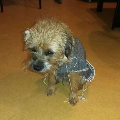 Pullis, Jacken, Hütte und alles sonstiges-Beitrag-Bild