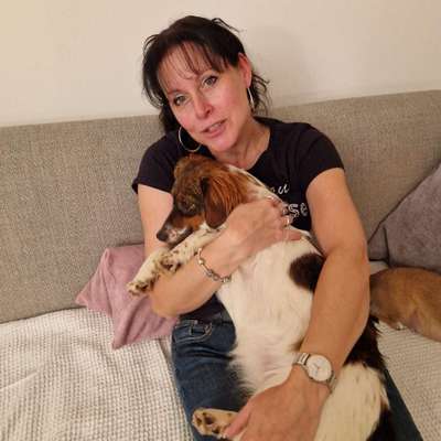 Hundetreffen-Gassi gehen mit Lana-Profilbild