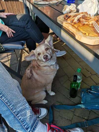 Bettel Blicke-Beitrag-Bild