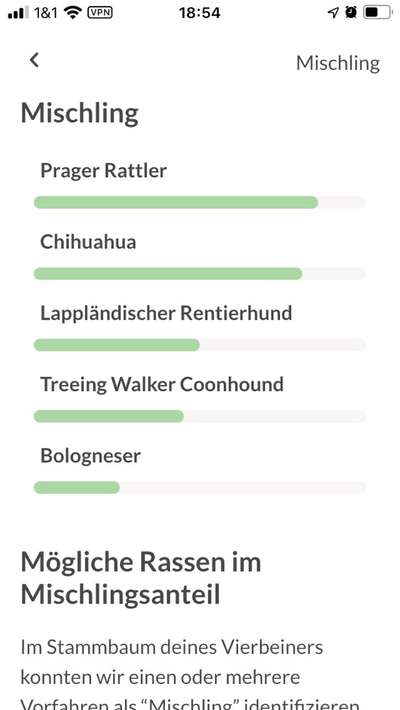 DNA-Tests-Beitrag-Bild