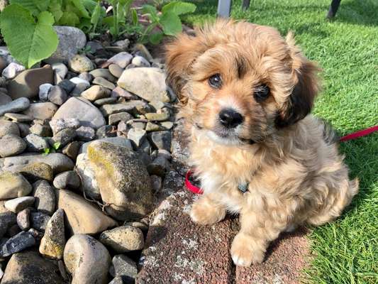 Foto Challenge 82-Beitrag-Bild