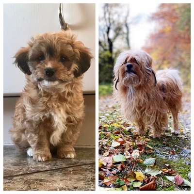 Sie werden so schnell groß!-Beitrag-Bild