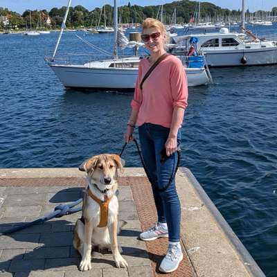 Hundetreffen-Gemeinsam Spazieren-Bild