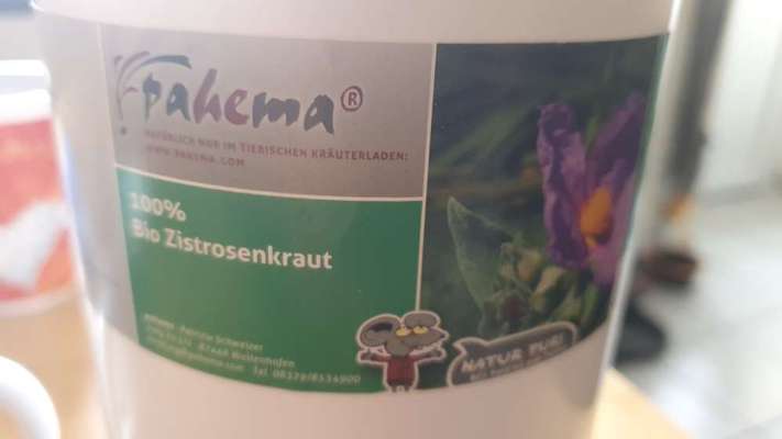 Zeckenstich - Tierarzt nötig?-Beitrag-Bild