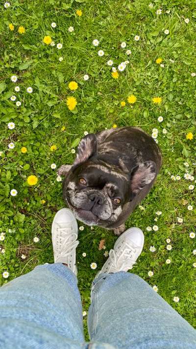 Ohrenentzündung-Beitrag-Bild