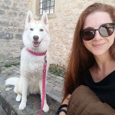 Hundetreffen-Wolfschlugen-Hardt