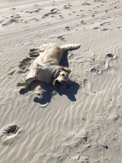 Eure Strandbilder :)-Beitrag-Bild