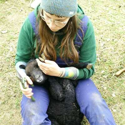 Hundetreffen-Gassi in der Natur-Profilbild