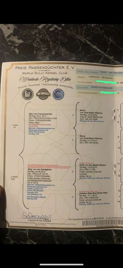 FRZ-Zuchtverband, Stammbaum, Ahnentafel - wer kennt sich aus? Erfahrungen !-Beitrag-Bild