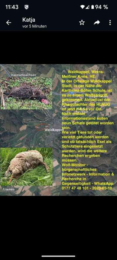 Giftköder-Wolfsriss ,nähe Karlheinz Böhm Schule-Bild