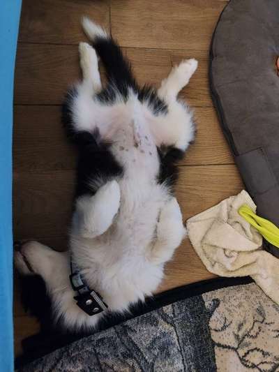 Fotochallenge Nr.65-Beitrag-Bild