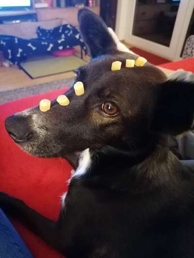 Lieblings Fotos-Beitrag-Bild