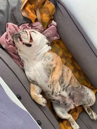 Schlafposition-Beitrag-Bild