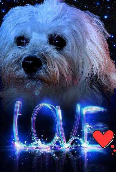 Photoshop und Co.-Beitrag-Bild