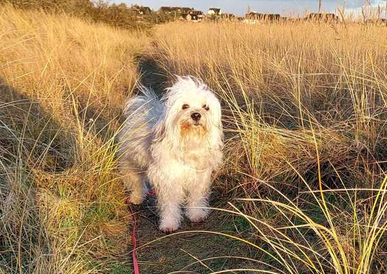 Fotowettbewerb zum Thema "Sonne"-Beitrag-Bild