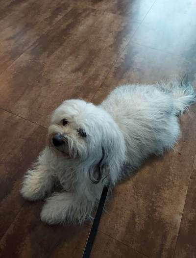 Von oben-Beitrag-Bild