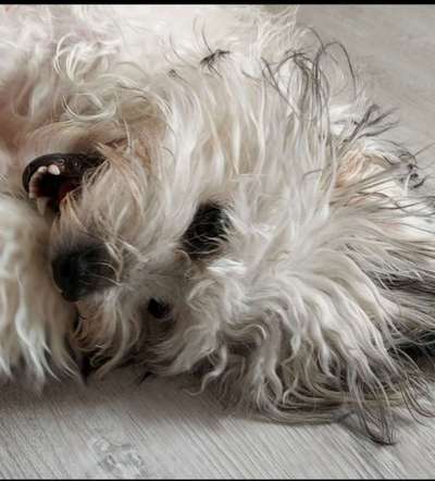 Das beste grinsefoto-Beitrag-Bild