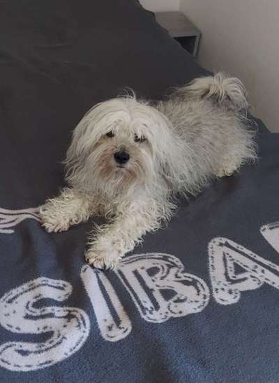 13. Farben-Fotochallenge "Grau"-Beitrag-Bild