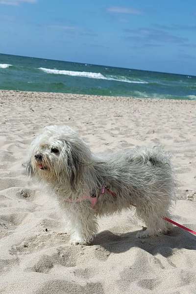 Fotochallenge Nr. 94 It's summer time-Beitrag-Bild