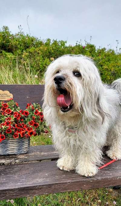 Handyfoto challenge Nr. 13: Waschlappen raus!-Beitrag-Bild