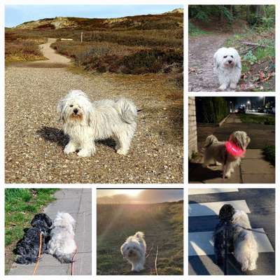 30. Collagen Challenge - Wege/Straßen-Beitrag-Bild