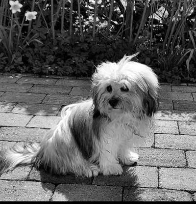 Foto-Challenge 76: Foto in Schwarz-Weiss-Beitrag-Bild