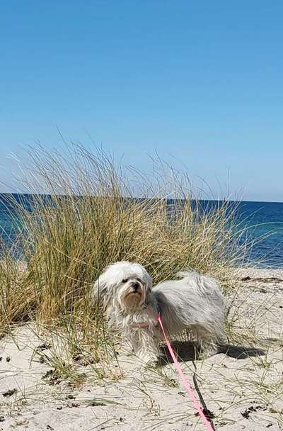 Theos Fotochallange Nummer 4-Beitrag-Bild