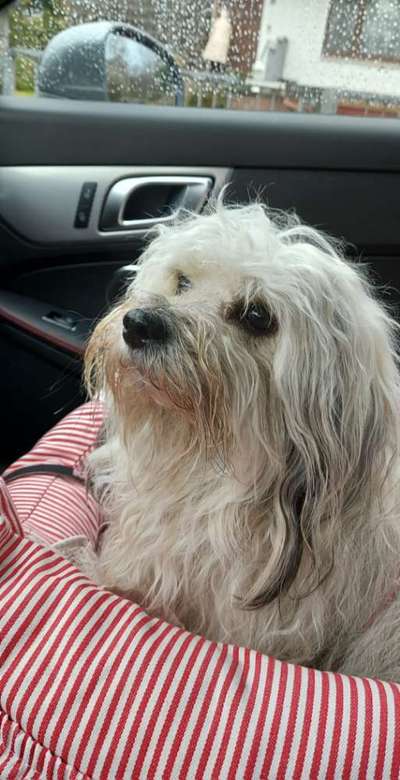 117. Fotochallenge-Beitrag-Bild