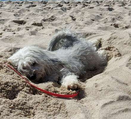 Ton in Ton-Beitrag-Bild