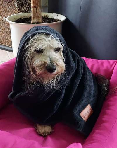 22. Handy Foto - Challenge-Beitrag-Bild