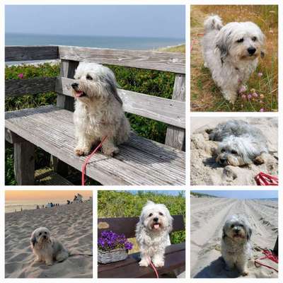 Zeigt eure schönsten Sommerbilder-Beitrag-Bild