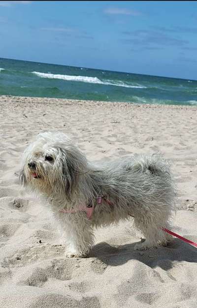 Fotochallenge Nr.100 Urlaubsimpressionen-Beitrag-Bild