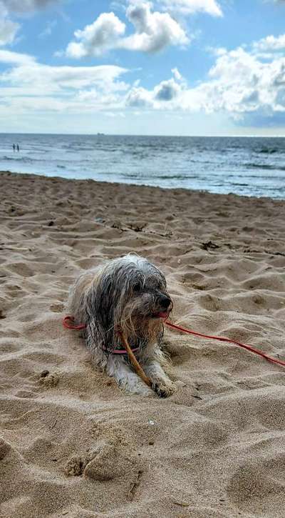 FOTOCHALLANGE NR.71 BADEFREUDE-Beitrag-Bild