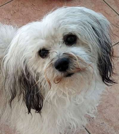 Fotochallange Nr. 57     PORTRÄT.   Beendet!!!!!!!!-Beitrag-Bild