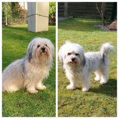 Vor dem Friseur - nach dem Friseur-Beitrag-Bild