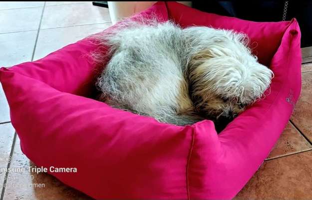 Fotochallange - Eingekugelt-Beitrag-Bild