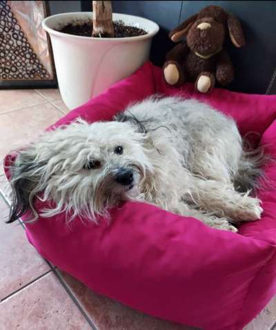 Foto Challange Nr.80-Beitrag-Bild