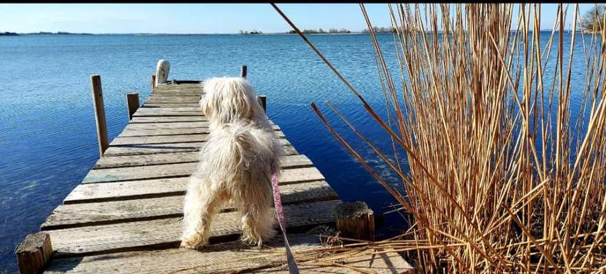 Foto Challenge Thema "Brücke"-Beitrag-Bild