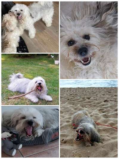 26. Collagen Challenge- Zeigt her eure Zähne-Beitrag-Bild