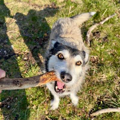 aktuelles Foto Gruppe Wandern und Outdoor