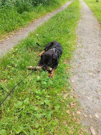 65. Handy Foto Challange                     "Ich kann nicht ohne..."-Beitrag-Bild