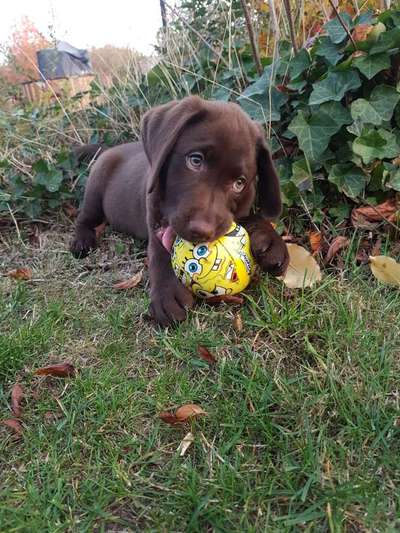 Lieblingsbild-Beitrag-Bild