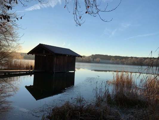 Hundeauslaufgebiet-Hofstätter See-Bild