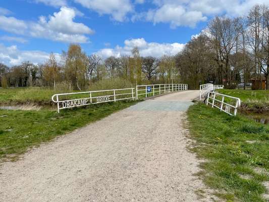 Hundeauslaufgebiet-Drakamp-Bild