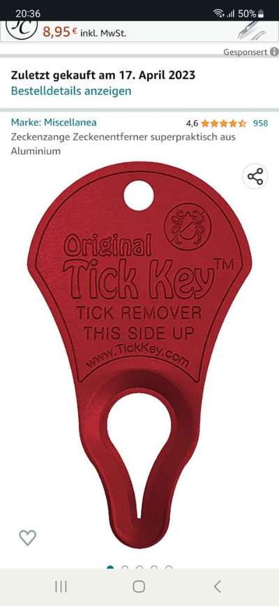 Zecke in der Ohrmuschel-Beitrag-Bild