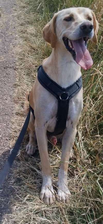 Außergewöhnliche Merkmale-Beitrag-Bild