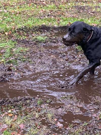 Fotochallenge 110: Lustige und schöne Schnappfotos-Beitrag-Bild