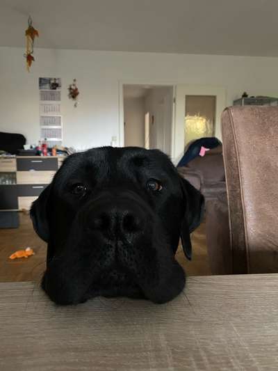 20. Handy -Foto-Callenge-Beitrag-Bild