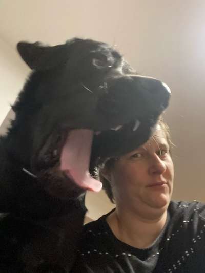 Fotochallenge 110: Lustige und schöne Schnappfotos-Beitrag-Bild